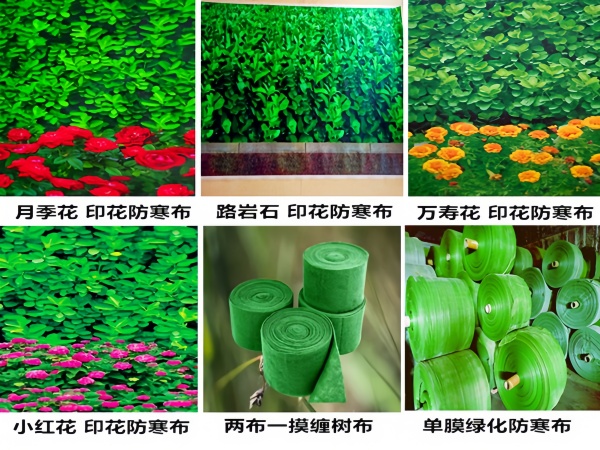 青岛绿化无纺布生产厂家|冬季苗木防护布直销